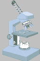 Common Light Microscope